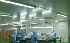 食品工廠凈化車間的燈怎么選型以及怎么布局